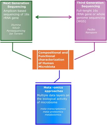 Current progresses and challenges for microbiome research in human health: a perspective